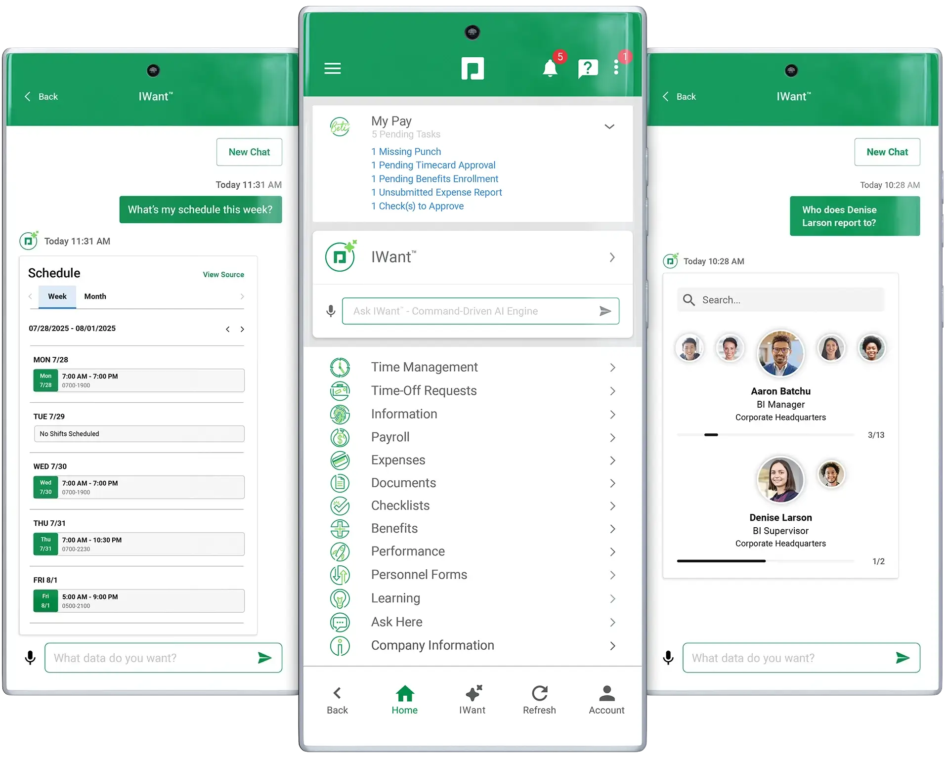 Full-solution automation payroll and HR software