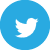Twitter Share Icon